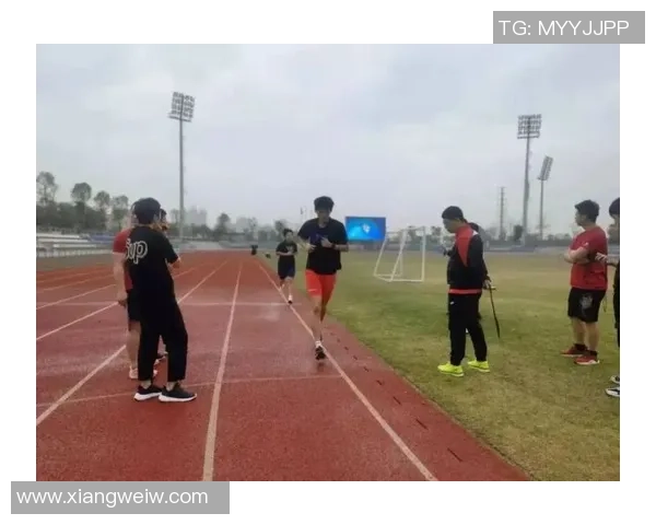 羽毛球耐力排名新突破杭州羽毛球队展现卓越实力与创新成就