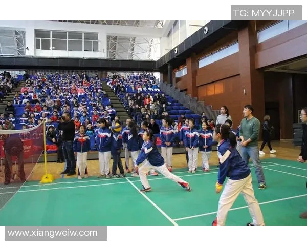 重庆排球队心理素质深度对比分析与影响因素探讨 重庆排球队心理素质深度对比分析与影响因素探讨