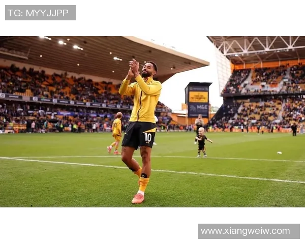 外号狼王的足球明星如何在赛场上展现无与伦比的实力与魅力